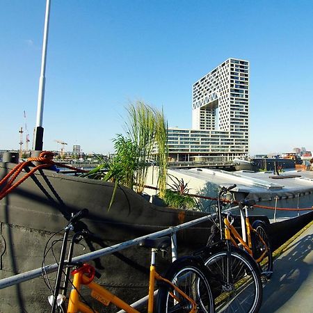 מלון אמסטרדם Eco Houseboat מראה חיצוני תמונה